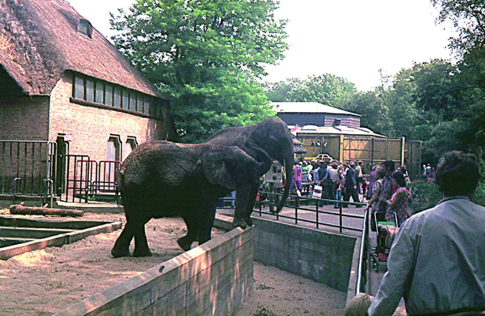 Foto uit Assistent-hoofdoppasser - Een dynamisch dierenpark